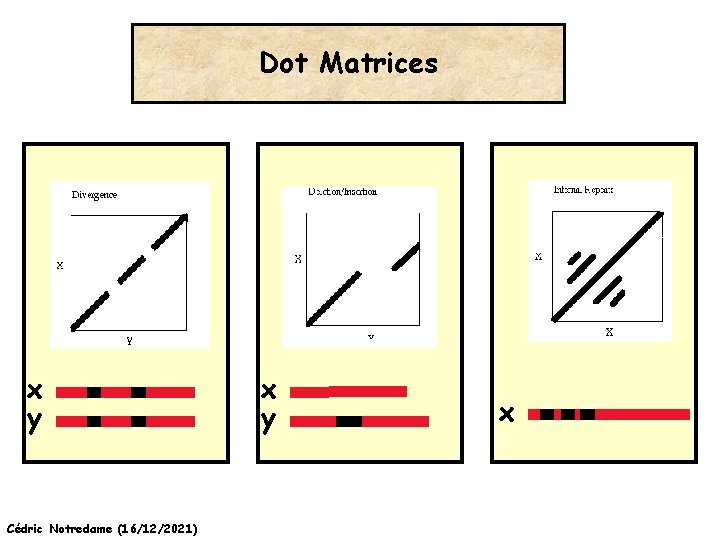 Dot Matrices x y Cédric Notredame (16/12/2021) x y x 