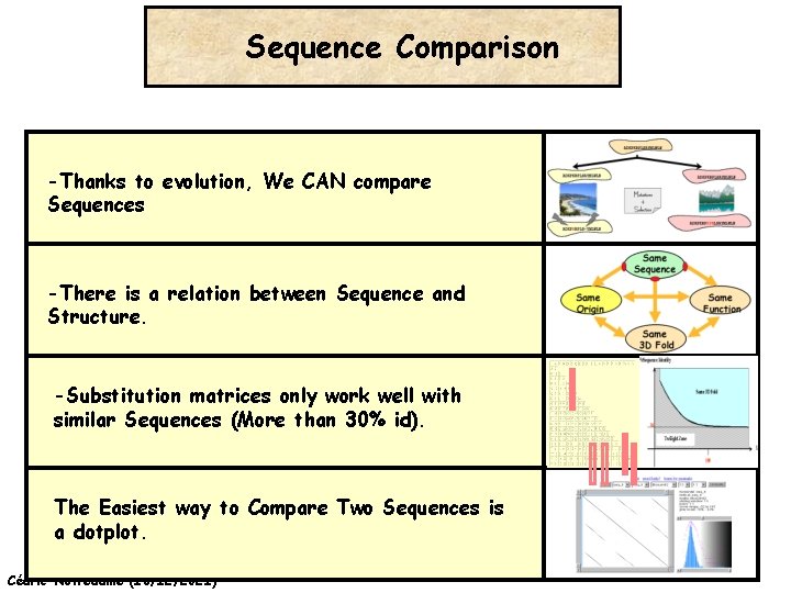 Sequence Comparison -Thanks to evolution, We CAN compare Sequences -There is a relation between