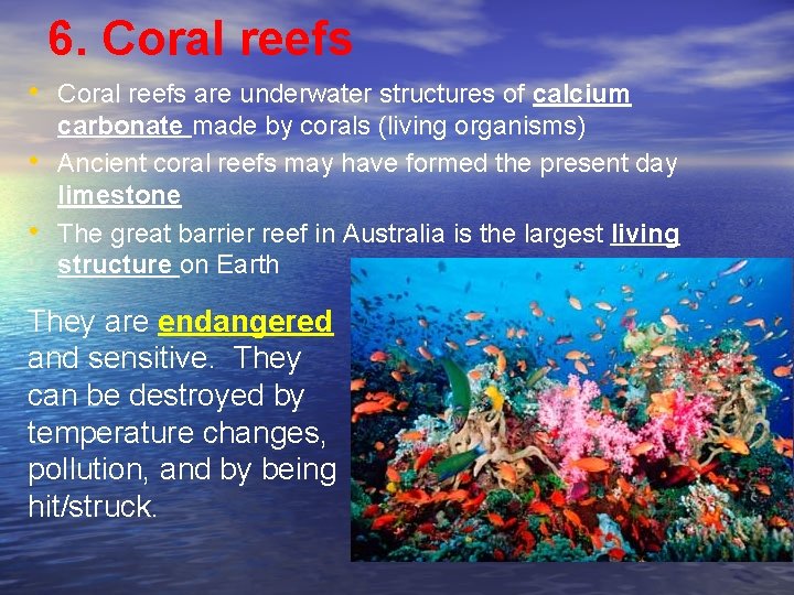 6. Coral reefs • Coral reefs are underwater structures of calcium • • carbonate