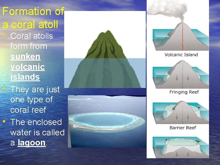 Formation of a coral atoll • Coral atolls • • form from sunken volcanic