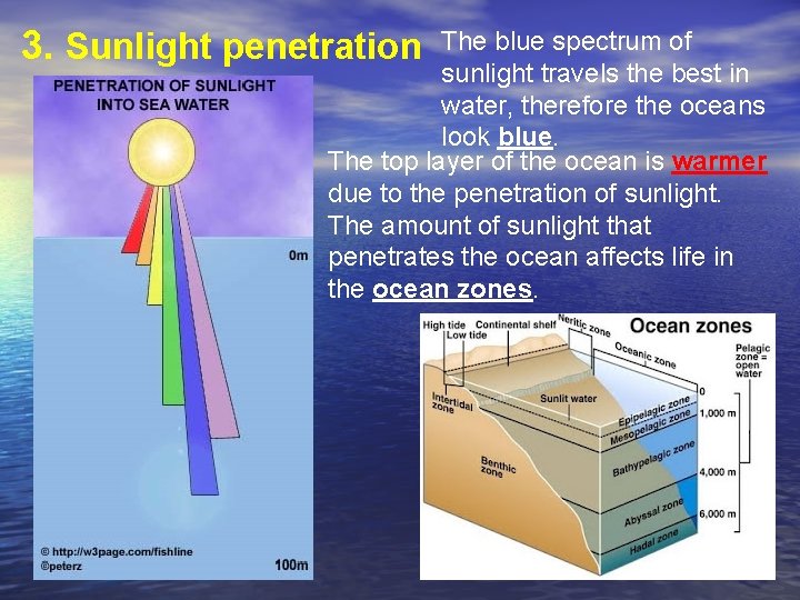 3. Sunlight penetration The blue spectrum of sunlight travels the best in water, therefore