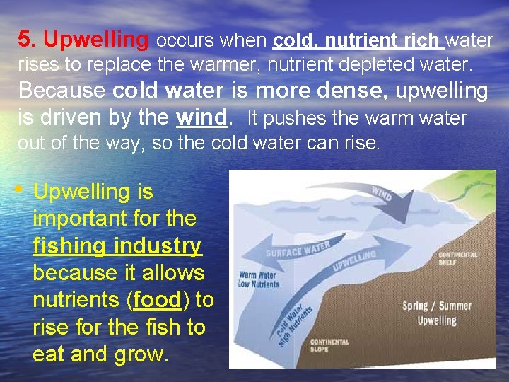 5. Upwelling occurs when cold, nutrient rich water rises to replace the warmer, nutrient