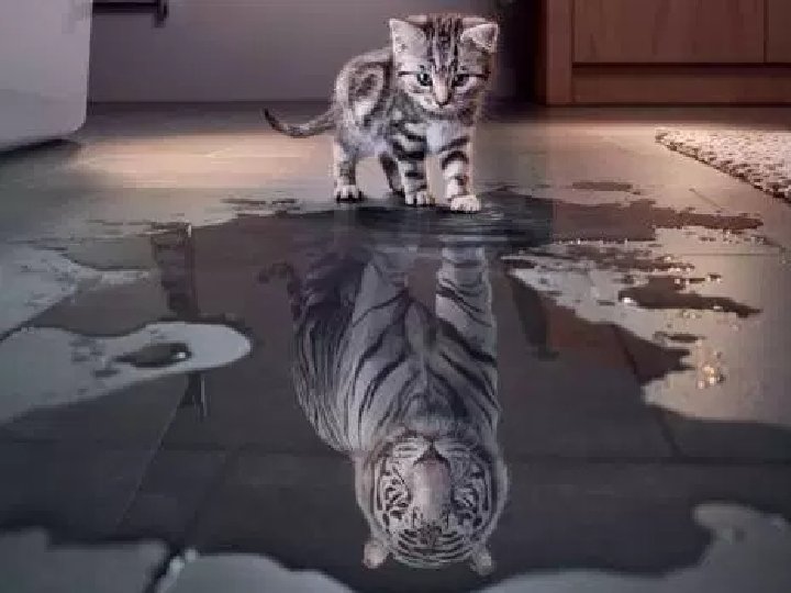 Iván Vallejo Ivan. Vallejo@kantartns. com M. 55 -3446 5759 