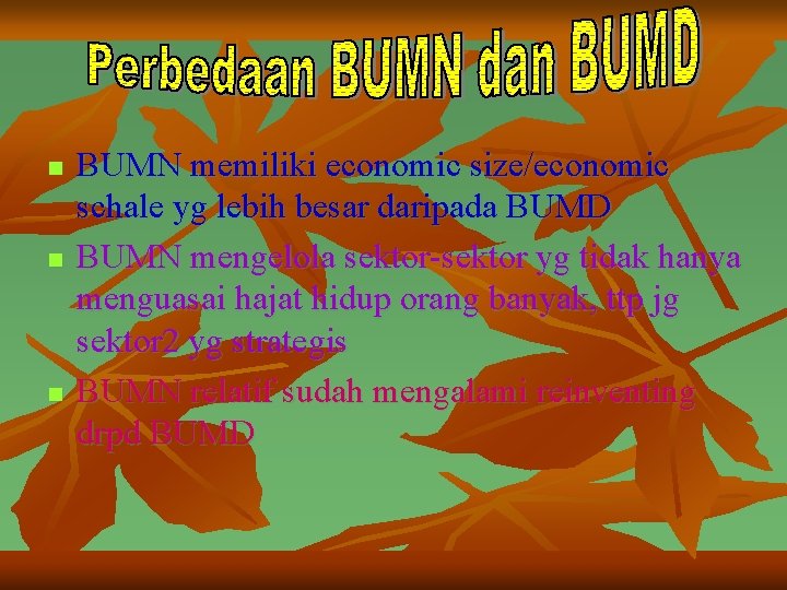 n n n BUMN memiliki economic size/economic schale yg lebih besar daripada BUMD BUMN