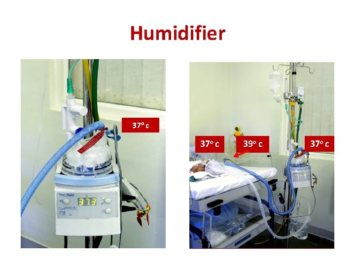Humidifier 37 o c 39 o c 37 o c 