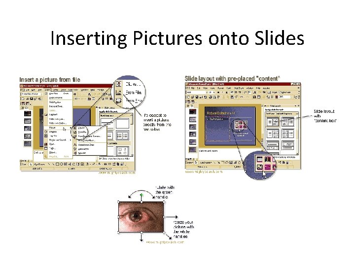 Inserting Pictures onto Slides 