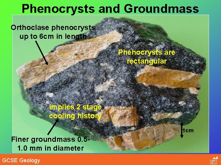 Phenocrysts and Groundmass Orthoclase phenocrysts up to 6 cm in length Phenocrysts are rectangular
