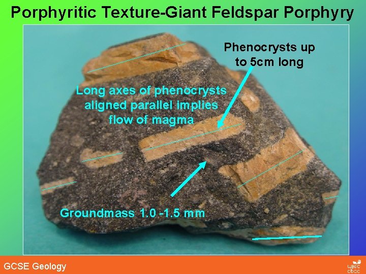 Porphyritic Texture-Giant Feldspar Porphyry Phenocrysts up to 5 cm long Long axes of phenocrysts