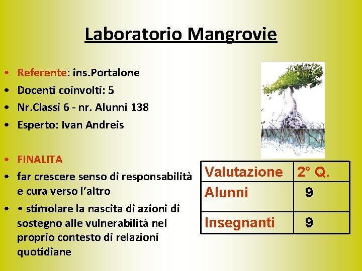 Laboratorio Mangrovie • • Referente: ins. Portalone Docenti coinvolti: 5 Nr. Classi 6 -