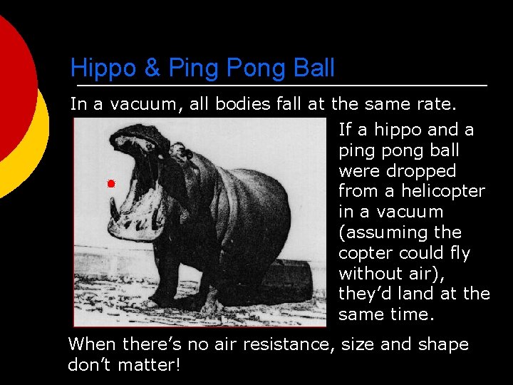 Hippo & Ping Pong Ball In a vacuum, all bodies fall at the same