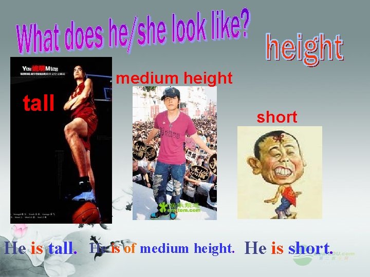 medium height tall He is tall. short He is of medium height. He is