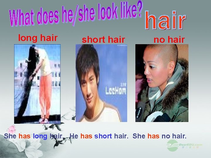 long hair short hair no hair She has long hair. He has short hair. long hair short hair no hair She has long hair. He has short hair.