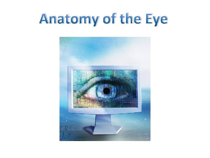 Anatomy of the Eye 