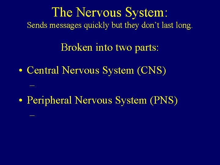 The Nervous System: Sends messages quickly but they don’t last long. Broken into two