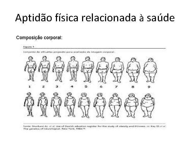 Aptidão física relacionada à saúde Composição corporal: 