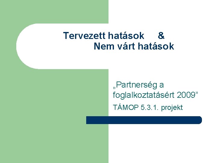 Tervezett hatások & Nem várt hatások „Partnerség a foglalkoztatásért 2009” TÁMOP 5. 3. 1.