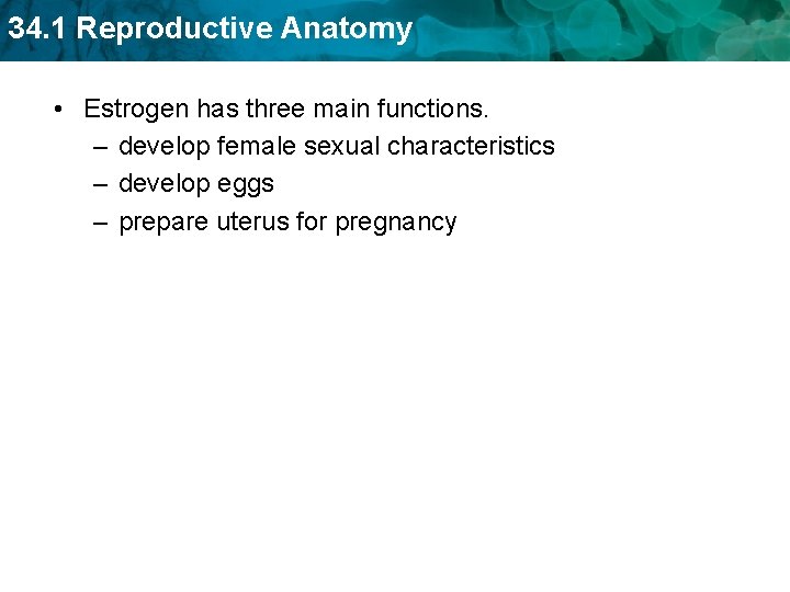 34. 1 Reproductive Anatomy • Estrogen has three main functions. – develop female sexual