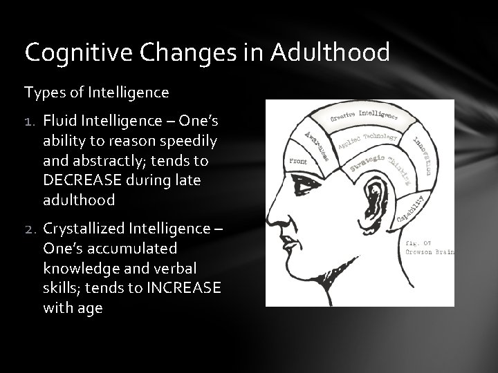 Cognitive Changes in Adulthood Types of Intelligence 1. Fluid Intelligence – One’s ability to