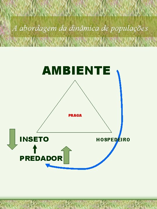 A abordagem da dinâmica de populações AMBIENTE PRAGA INSETO PREDADOR HOSPEDEIRO 