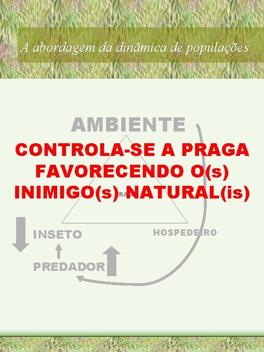 A abordagem da dinâmica de populações AMBIENTE CONTROLA-SE A PRAGA FAVORECENDO O(s) PRAGA INIMIGO(s)