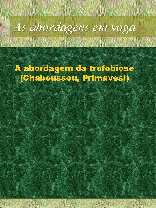 As abordagens em voga A abordagem da trofobiose (Chaboussou, Primavesi) 
