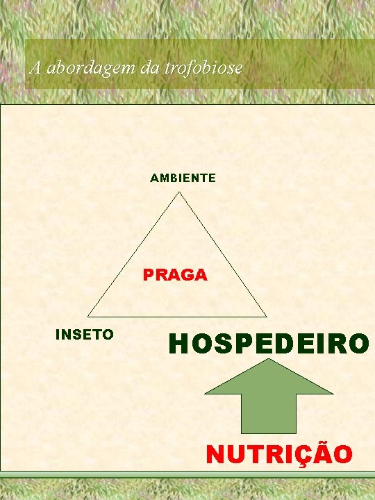 A abordagem da trofobiose AMBIENTE PRAGA INSETO HOSPEDEIRO NUTRIÇÃO 
