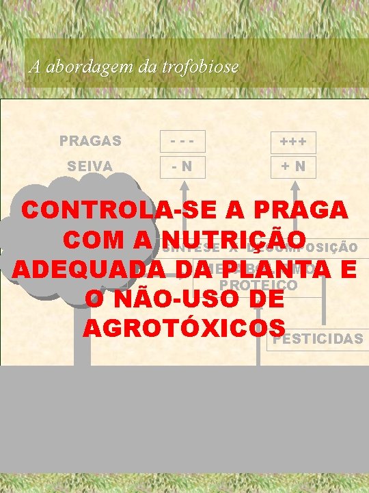 A abordagem da trofobiose PRAGAS --- +++ SEIVA -N +N CONTROLA-SE A PRAGA COM