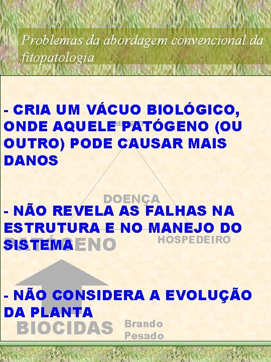 Problemas da abordagem convencional da fitopatologia - CRIA UM VÁCUO BIOLÓGICO, AMBIENTE ONDE AQUELE