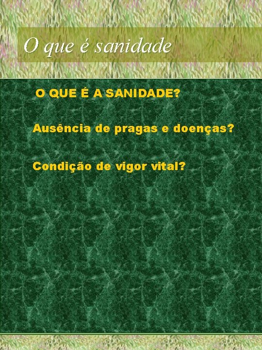 O que é sanidade O QUE É A SANIDADE? Ausência de pragas e doenças?