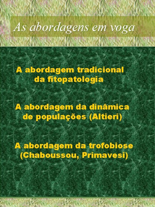As abordagens em voga A abordagem tradicional da fitopatologia A abordagem da dinâmica de