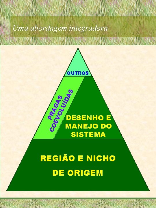 Uma abordagem integradora CO PRA EV GA OL S UÍ DA S OUTROS DESENHO