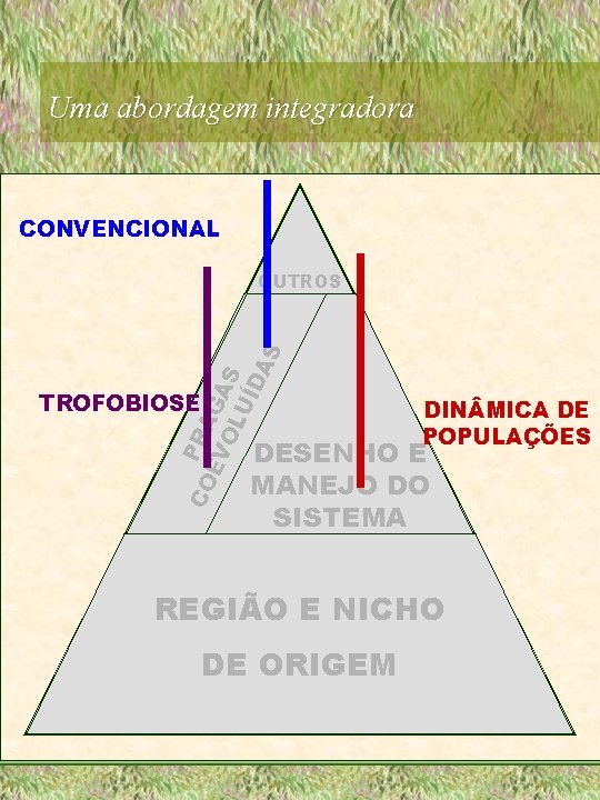 Uma abordagem integradora CONVENCIONAL CO PRA EV GA OL S UÍ DA S OUTROS