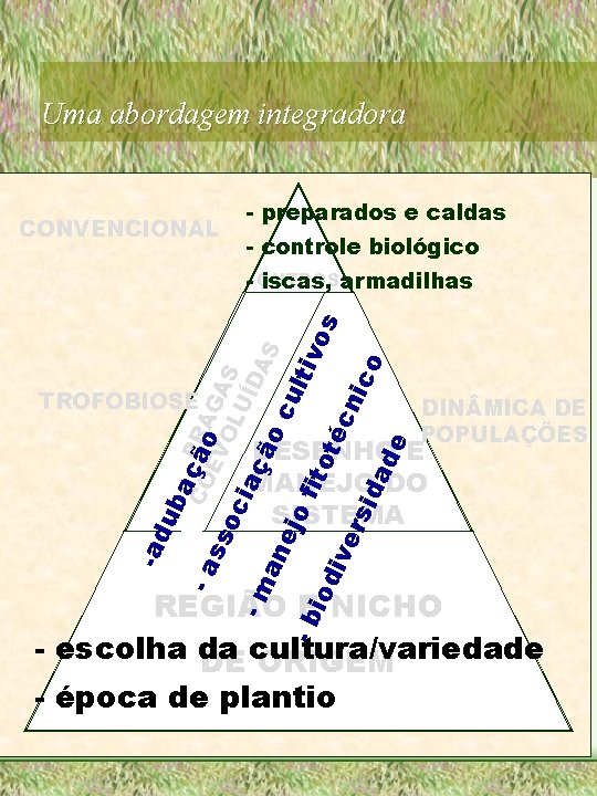 Uma abordagem integradora CONVENCIONAL - preparados e caldas - controle biológico cn fit oté
