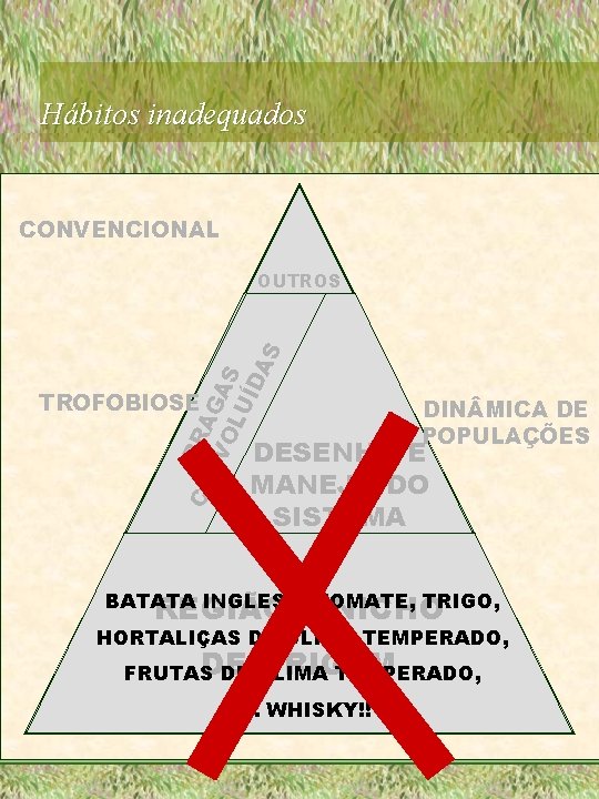 Hábitos inadequados CONVENCIONAL CO PRA EV GA OL S UÍ DA S OUTROS TROFOBIOSE