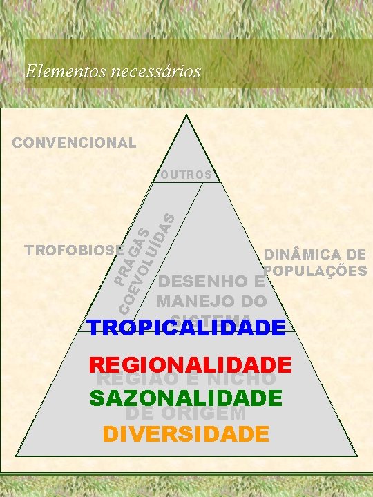 Elementos necessários CONVENCIONAL CO PRA EV GA OL S UÍ DA S OUTROS TROFOBIOSE