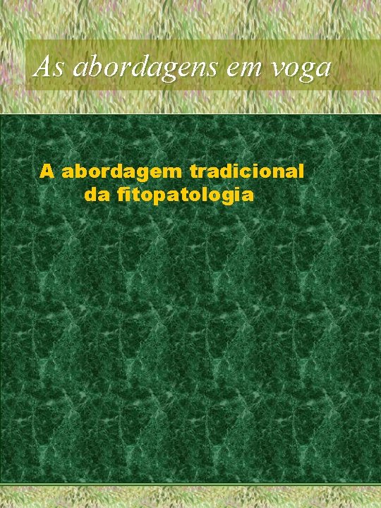 As abordagens em voga A abordagem tradicional da fitopatologia 