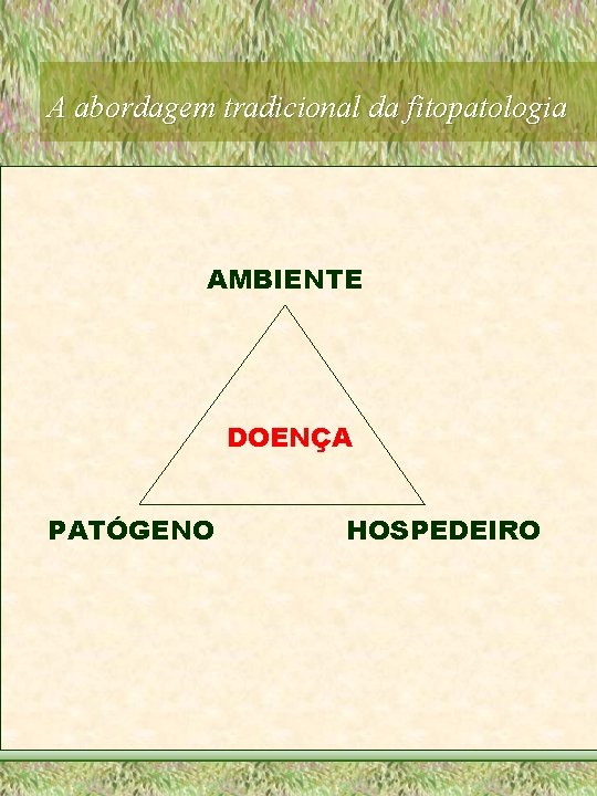 A abordagem tradicional da fitopatologia AMBIENTE DOENÇA PATÓGENO HOSPEDEIRO 