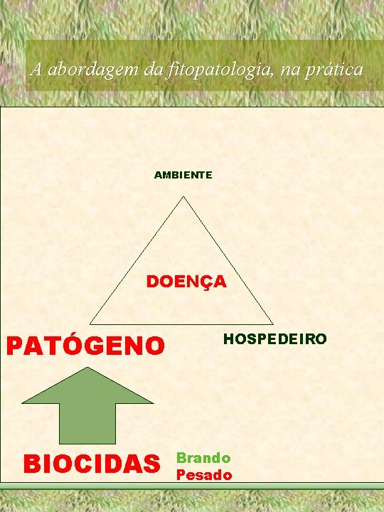 A abordagem da fitopatologia, na prática AMBIENTE DOENÇA PATÓGENO BIOCIDAS HOSPEDEIRO Brando Pesado 