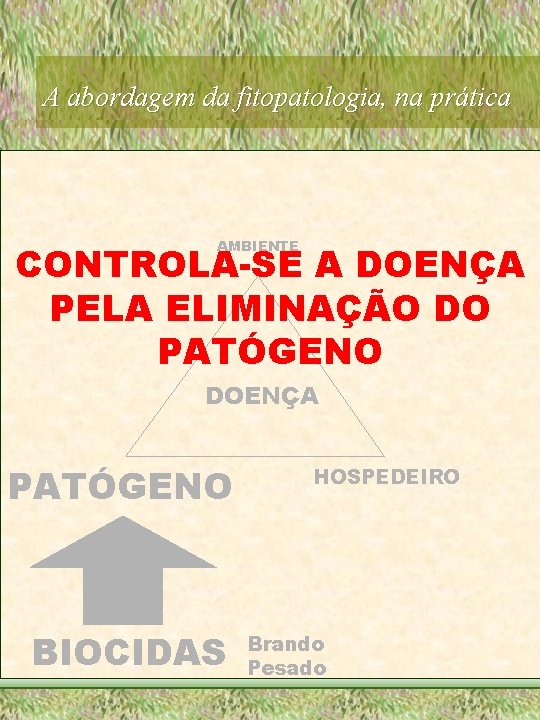 A abordagem da fitopatologia, na prática AMBIENTE CONTROLA-SE A DOENÇA PELA ELIMINAÇÃO DO PATÓGENO