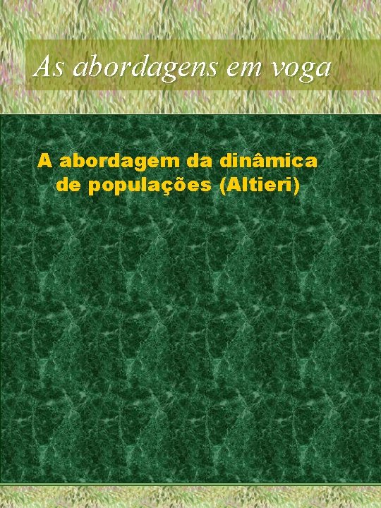 As abordagens em voga A abordagem da dinâmica de populações (Altieri) 