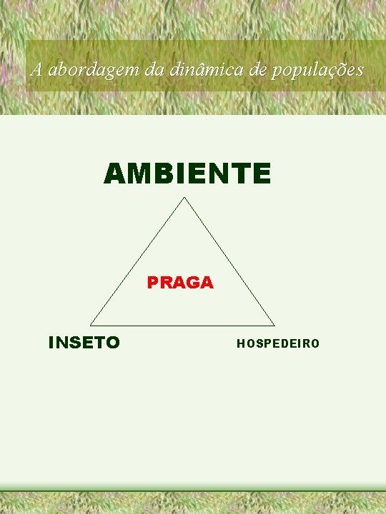 A abordagem da dinâmica de populações AMBIENTE PRAGA INSETO HOSPEDEIRO 
