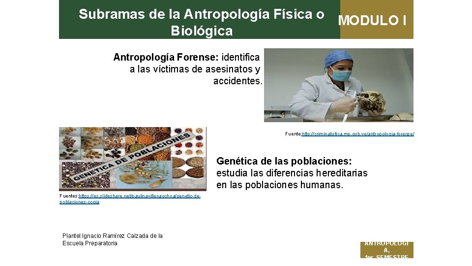 Subramas de la Antropología Física o MODULO I Biológica Antropología Forense: identifica a las