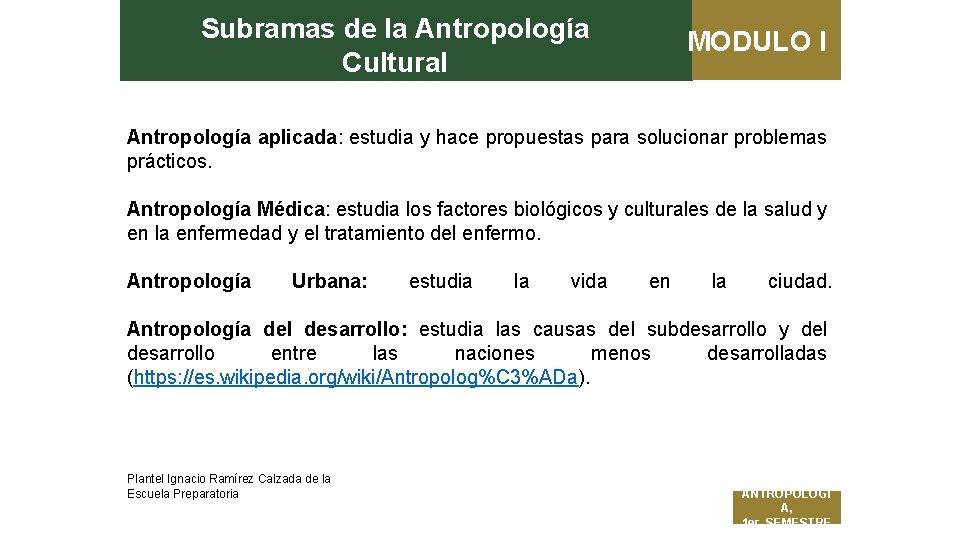 Subramas de la Antropología Cultural MODULO I Antropología aplicada: estudia y hace propuestas para