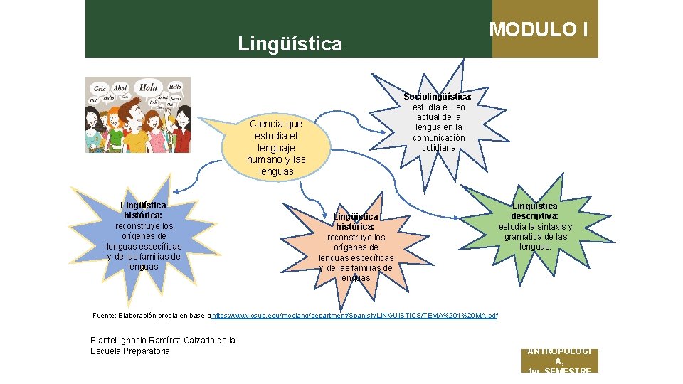 MODULO I Lingüística Sociolingüística: estudia el uso actual de la lengua en la comunicación