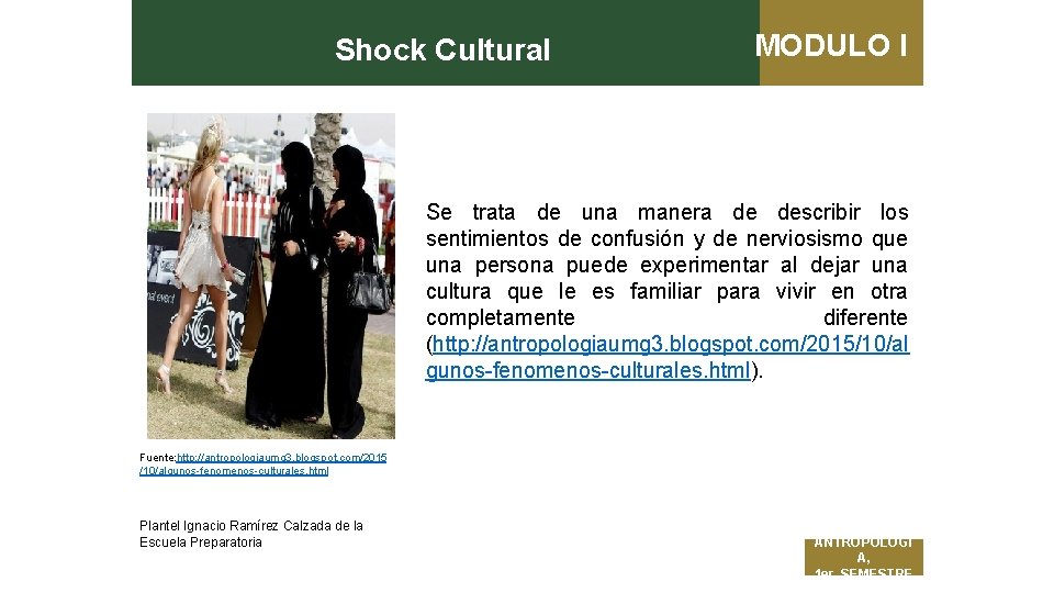 Shock Cultural MODULO I Se trata de una manera de describir los sentimientos de