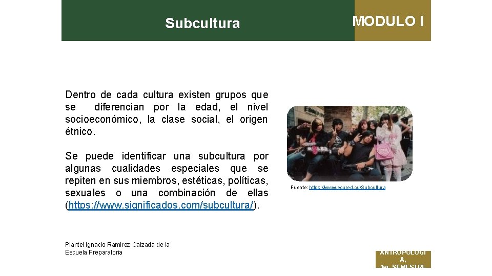 Subcultura MODULO I Dentro de cada cultura existen grupos que se diferencian por la