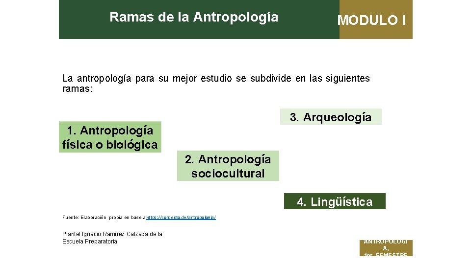 Ramas de la Antropología MODULO I La antropología para su mejor estudio se subdivide