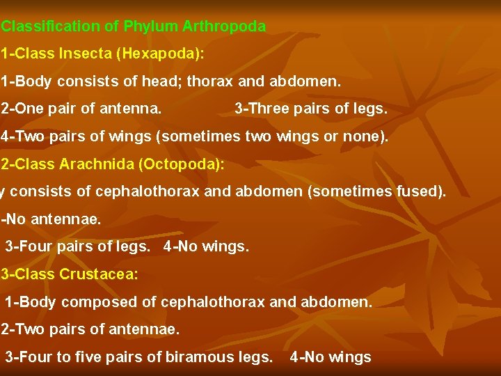 Classification of Phylum Arthropoda 1 -Class Insecta (Hexapoda): 1 -Body consists of head; thorax