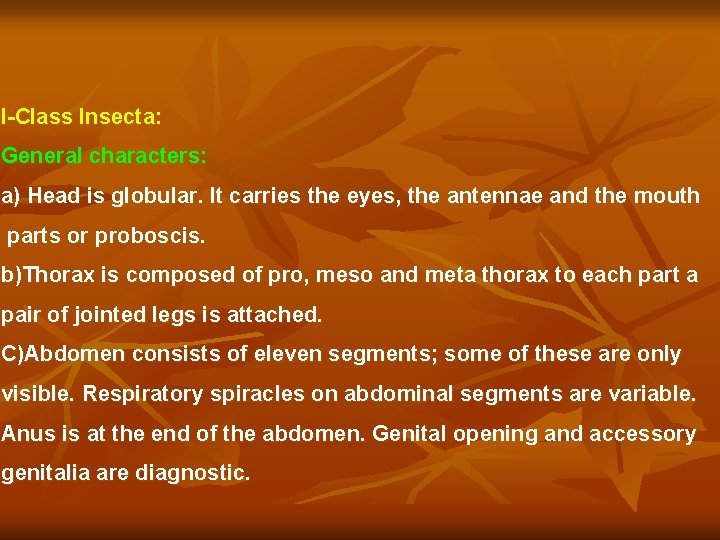 I-Class Insecta: General characters: a) Head is globular. It carries the eyes, the antennae