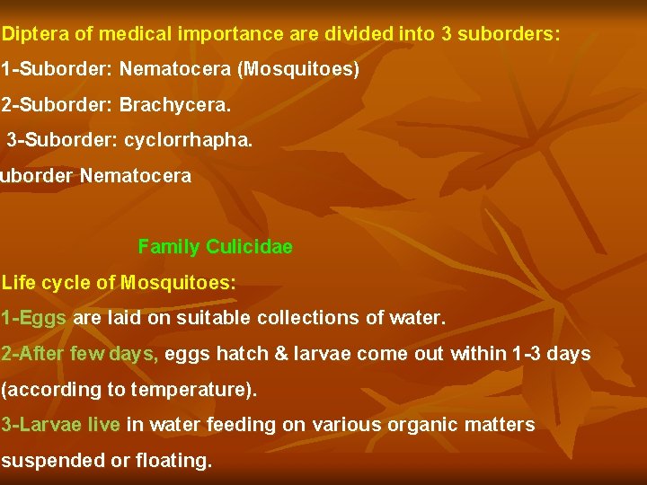 Diptera of medical importance are divided into 3 suborders: 1 -Suborder: Nematocera (Mosquitoes) 2